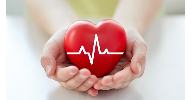 シラジットの強力な抗酸化作用は心臓や循環器の健康に良い事が証明されている