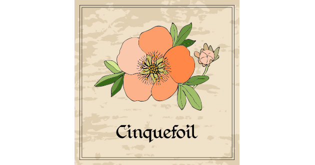 シンクフォイル（Cinquefoil）は、バラ科のハーブ