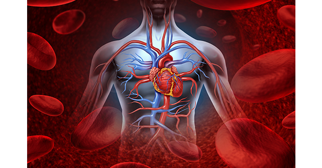 D-リボースの働きは心臓の血流改善