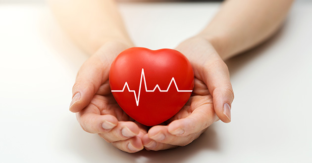 ギョボクにはカリウムが豊富なので、心臓の健康に効果的