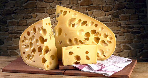 スィートクローバーはスイスチーズの香りづけに使われるハーブ