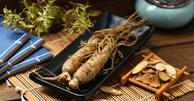 ginseng on plate-630