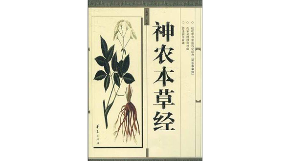 黄連は中国伝統の漢方薬で古来より使われてきた生薬