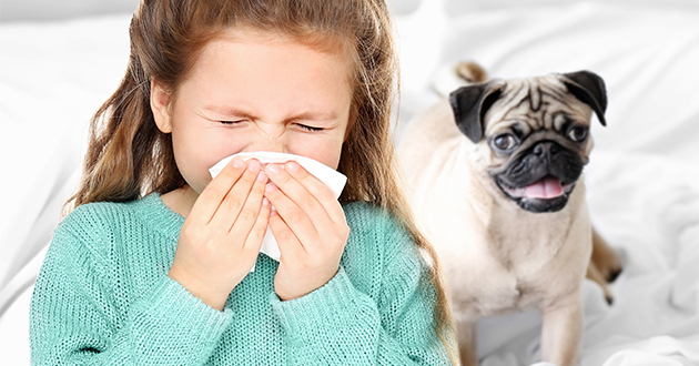 ペットにアレルギーのある方は花粉症の症状にも影響