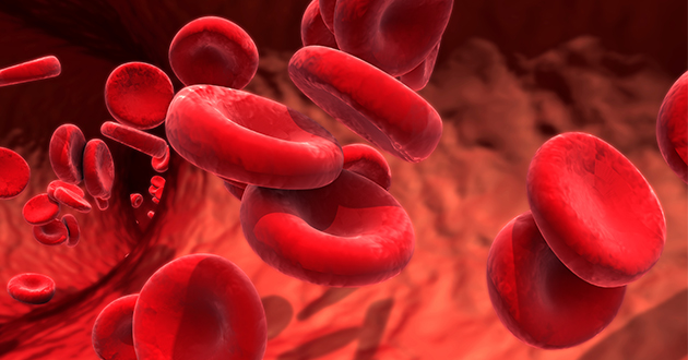 血管の中で循環する赤血球