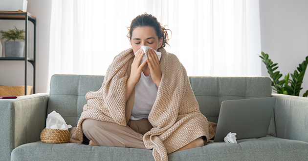 エルダーフラワーは風邪や感染症などに効果的
